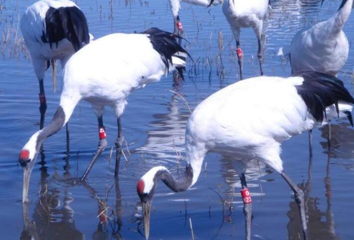 �������ι���֮�������