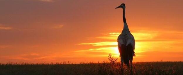 ���������б�ѩ֮�ǹ��������ι����ܱ߾����������ι���