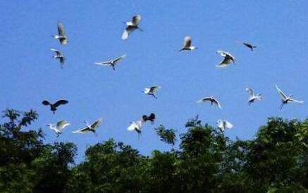 ����ʮ������֮�ٱ��ɾ�̫����