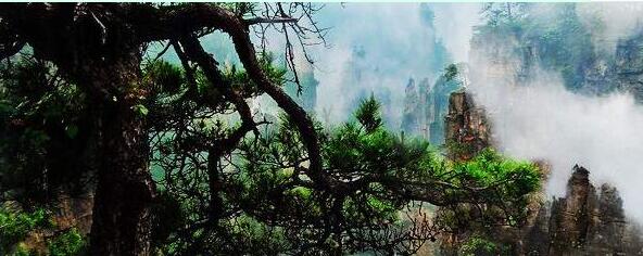 湖南旅行美丽新传奇张家界旅游攻略体验几件事和注意