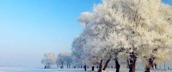 魅力江城雾凇之城吉林旅游攻略必做的几件事旅游攻略