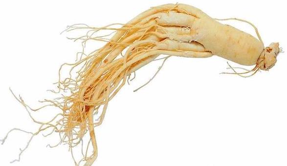 �������йض�ѩ���������ι����ز��������ι���