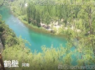 河南-鹤壁.