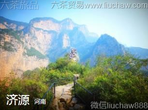 河南-济源..