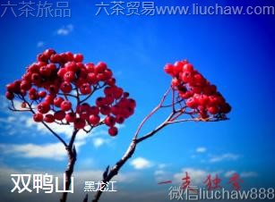 黑龙江-双鸭山..