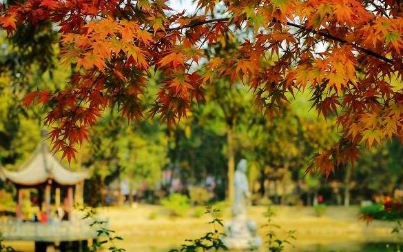 ���������Ͼ����ι����Ͼ��ܱ߾�������