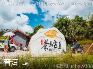 ����-�ն�..