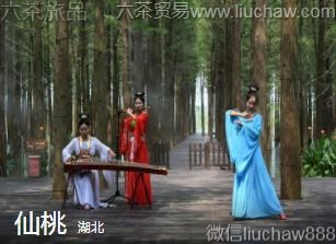 ����-����