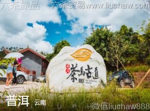 ����-�ն�...