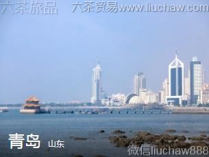 山东-青岛
