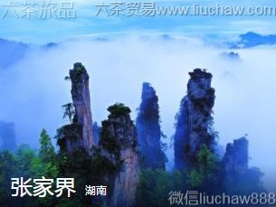 ����-�żҽ�....