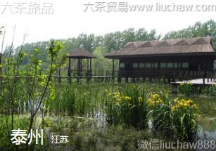 ����-̩��..