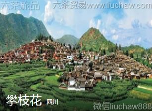 �Ĵ�-��֦��..