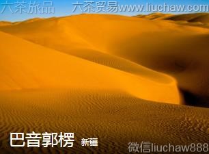 �½�-��������