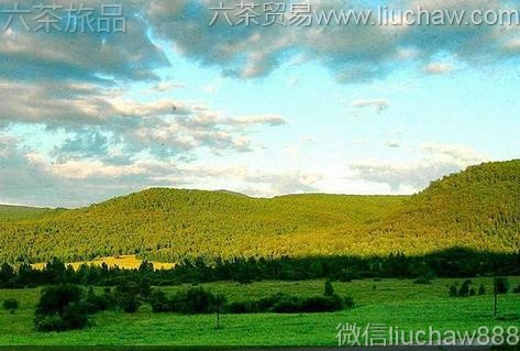 ������-���˰���..