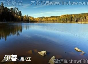 黑龙江-伊春....