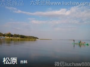 吉林-松原.