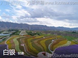 甘肃-白银,