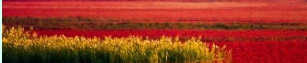 辽宁旅行盘锦红海滩旅游攻略美事住宿特产推荐