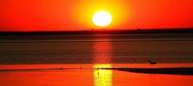 辽宁旅行盘锦红海滩旅游攻略景点推荐