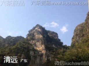 �㶫-��Զ��