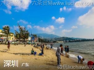 �㶫-���ڣ�