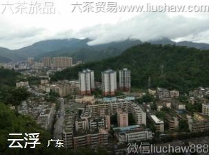 �㶫-�Ƹ���