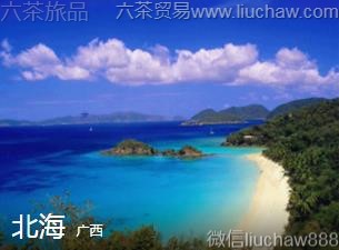 ����-������