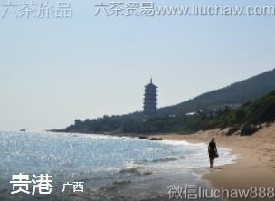 ����-��ۣ�