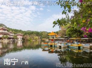 ����-������