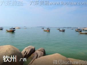 ����-���ݣ�