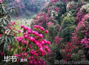 ����-�Ͻڣ�