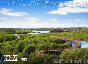 ����-������