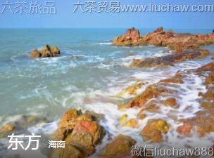 ����-������