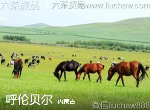 内蒙古-呼伦贝尔..