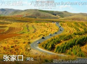 �ӱ�-�żҿڣ�