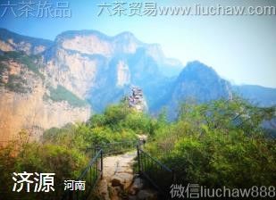 河南-济源,