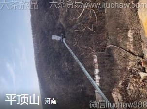 河南-平顶山,