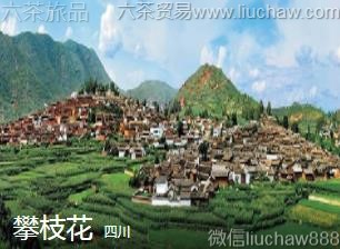 四川-攀枝花....