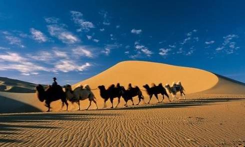 内蒙古旅行阿拉善盟旅游之精品线路参考旅游攻略