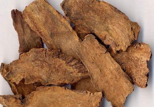 内蒙古旅行阿拉善盟旅游之购物和娱乐参考旅游攻略