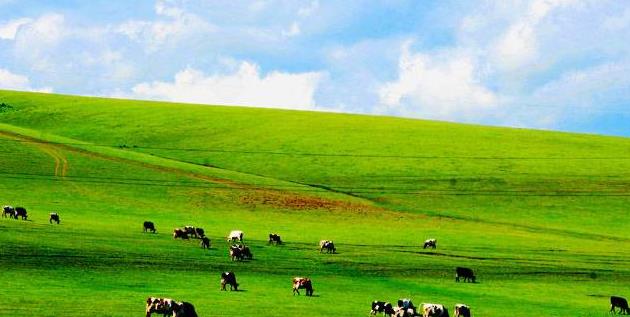 内蒙古呼伦贝尔大草原旅游参考