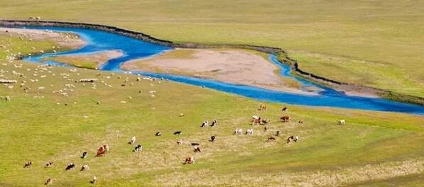 内蒙古最美草原呼伦贝尔旅游攻略周边景点综述