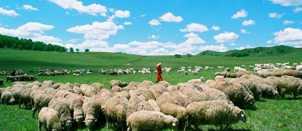 ���ɹ��������ǳ�����ι��������ԭ��������