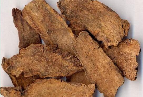 ���ɹ����а�����������֮��������ֲο�