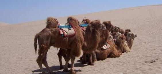 �������д�Į�����������ι��Ըſ��ο�