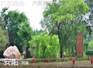 河南-安阳
