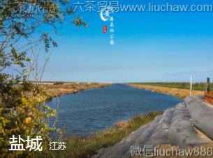 江苏-盐城