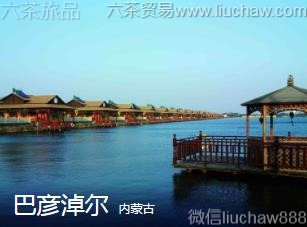 ���ɹ�-�����׶�