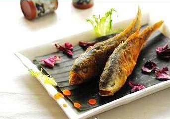 �Ҹ�����������԰ɽ���������ι��Բ�����ʳ�ο�